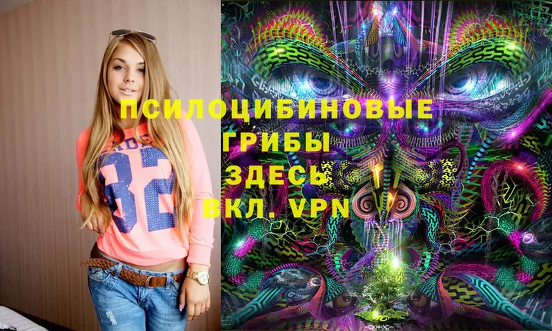 Галлюциногенные грибы Magic Shrooms  даркнет сайт  это как зайти  Заречный 